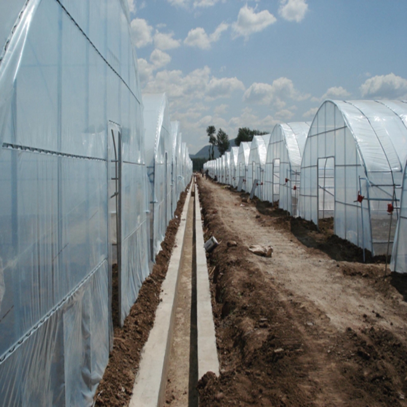 Agriculture Farming Vegetables - 0.04~0.12mm Agricultural Greenhouse Film Farm Crops