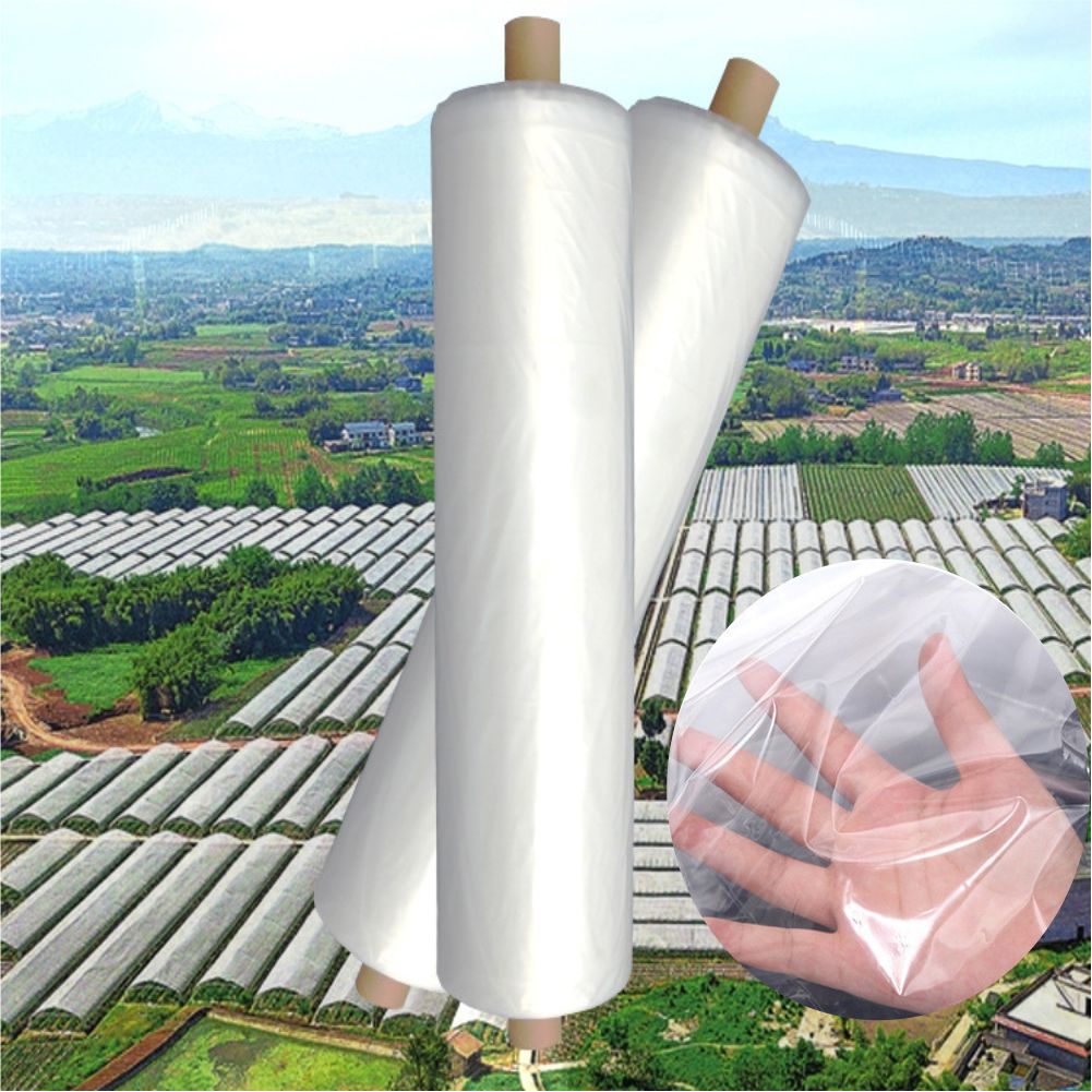 Agricultural Farm Greenhouse P - Agriculture Farming Vegetables review and price