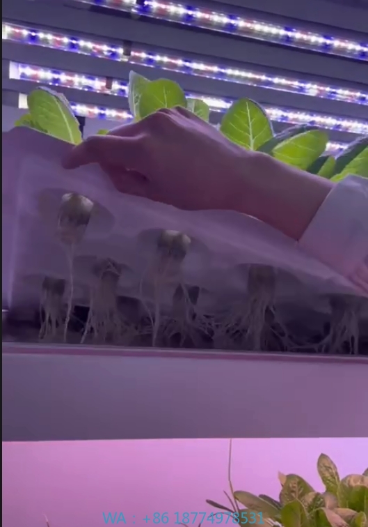 f Greenhouse Agricultural Equi - Agriculture Farming Vegetables review and price