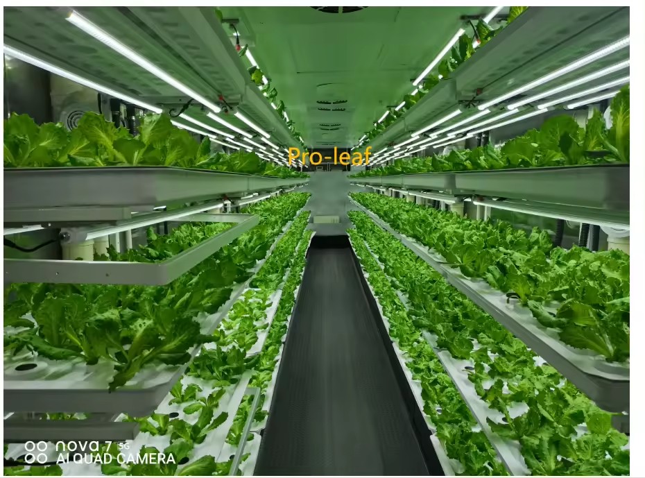f Greenhouse Agricultural Equi - Agriculture Farming Vegetables review and price