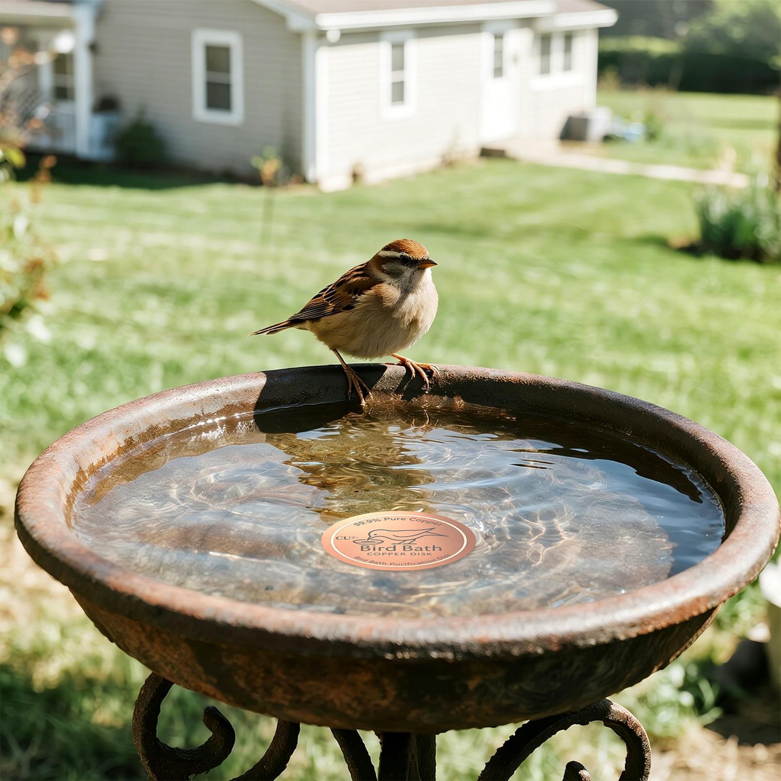 Bird Bath Copper Disk 0.6mm Th - Farming A review and price