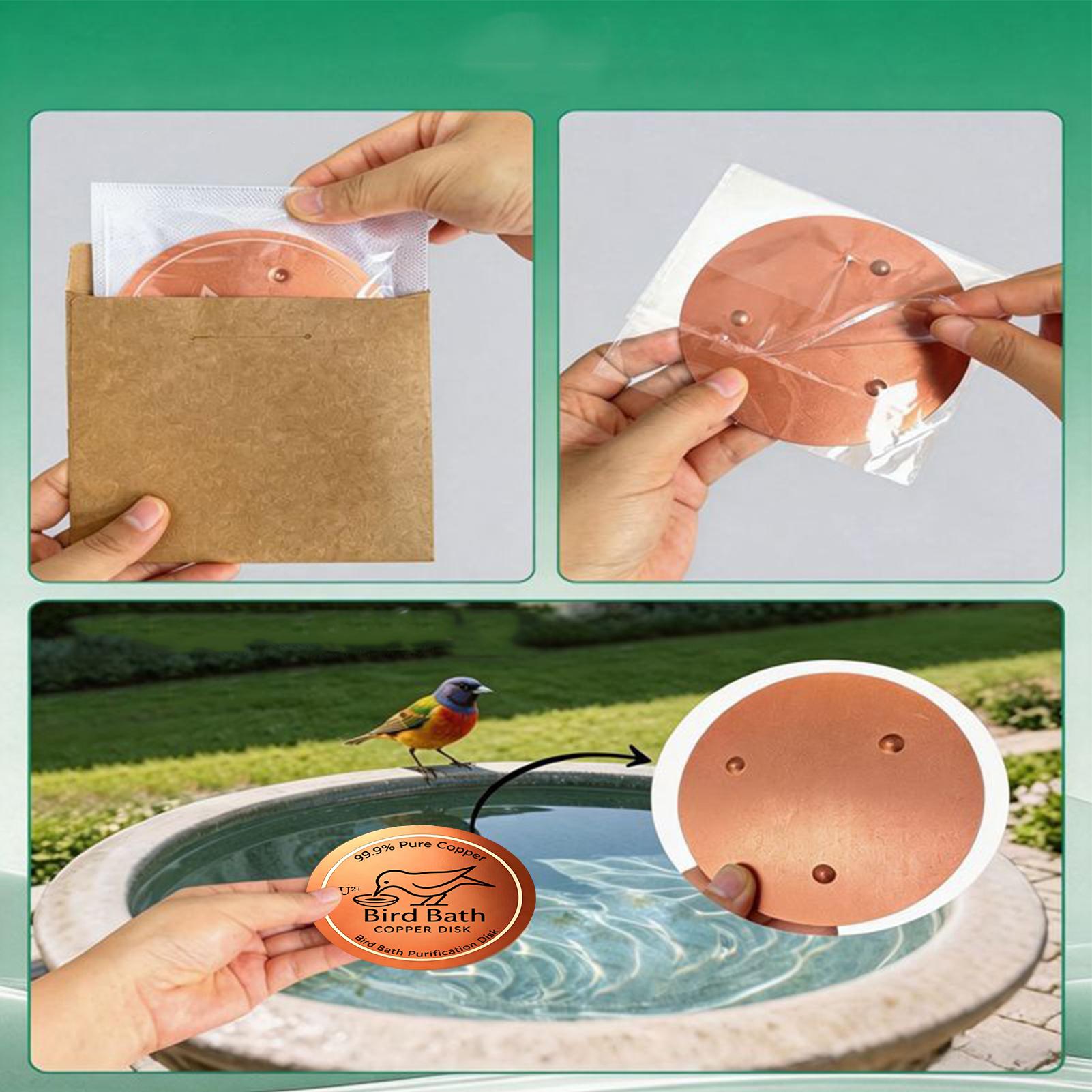 Bird Bath Copper Disk 0.6mm Th - Farming A review and price