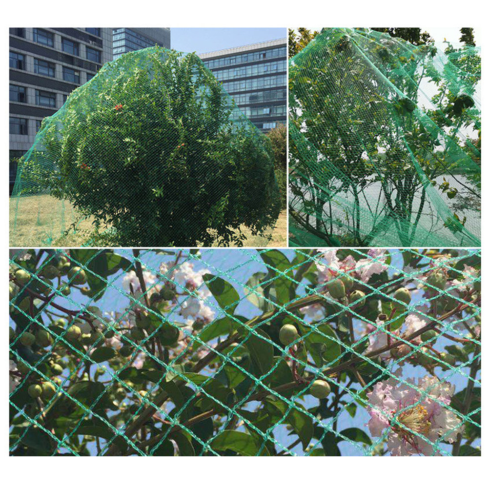 15M Anti Bird Net Green Fruit  - Agriculture Farming Vegetables review and price