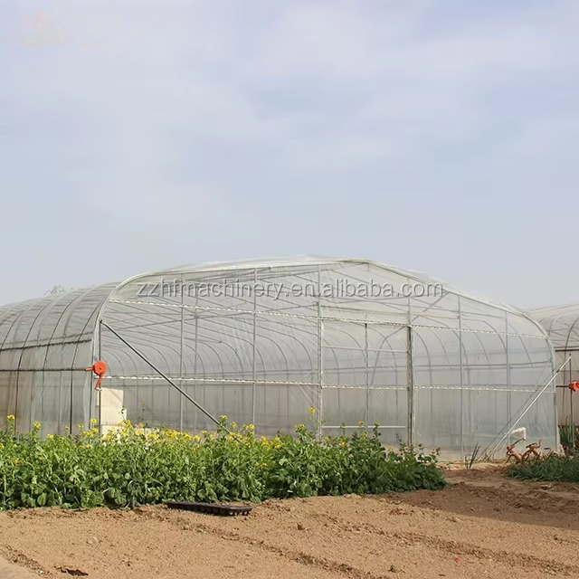 Large Walk-in Garden Greenhous - Agriculture Farming Vegetables review and price